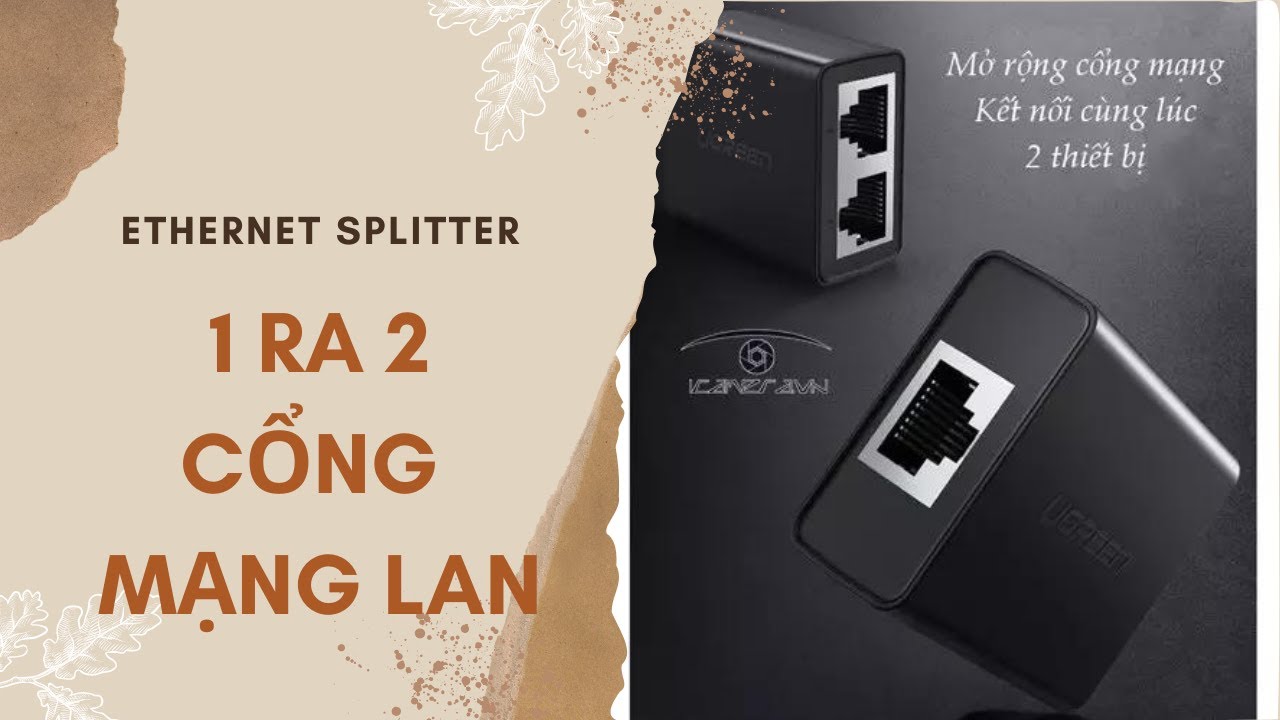 lan rj45  New  Đầu chia mạng Ethernet LAN RJ45 1 ra 2 cổng (Splitter)