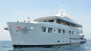 DiveRACE Class E - Diving Thailand