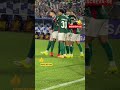 VITÓRIA DO PALMEIRAS 4X0 #palmeiras #futebol #loucosporfutebol #futebolbrasileiro #paulistão #verdão