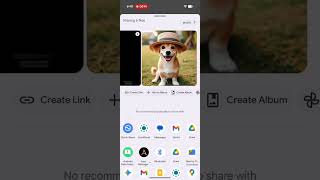 Google Photos share sheet interface (existing)