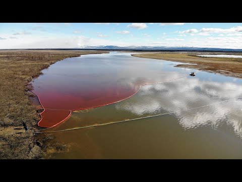 Video: Wetenskaplike Het 'n Prehistoriese Perd In Siberië Gevind Wat 40000 Oud Is