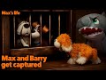 Max and Barry get captured (Max‘s life)￼￼
