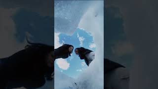 snowy day photo ideas