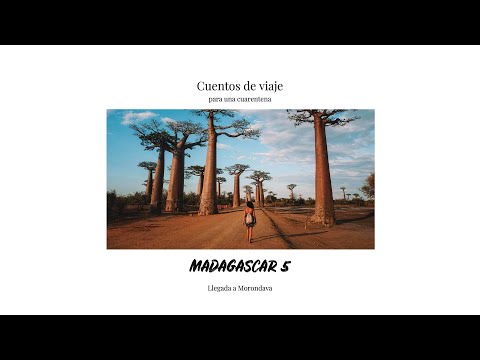 Cuentos de viaje para una cuarentena: MORONDAVA (AVENIDA DE LOS BAOBABS) - Madagascar 5