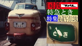 特急とき　L特急とき　181系　183系　新潟行き　鉄道写真