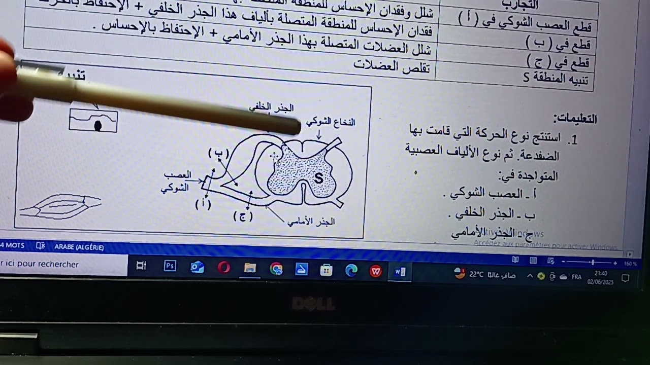تمرين هايل حول الاتصال العصبي