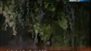 Rahib Azeri Sher Qazax Kemerli Ocaqlar.3Gp