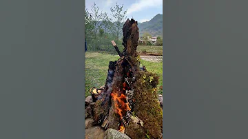 ننه جان زحمت کش براش چای آتیشی آماده کردم نوش جان کنه چای آتیشی تجربه کردین حتما امتحانش کنین 