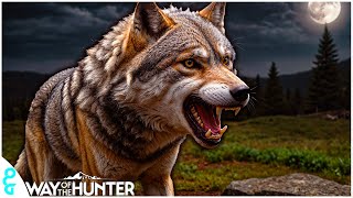 Wolf Hunting In Nez Perce Valley | Way of the Hunter