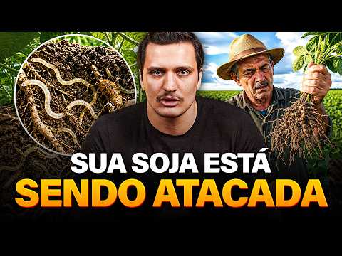 NEMATÓIDES: O INIMIGO SILENCIOSO DA SOJA