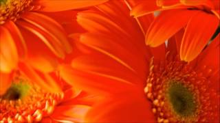 Shared by Flickr Dale Cruse Shared by Flickr Dale Cruse