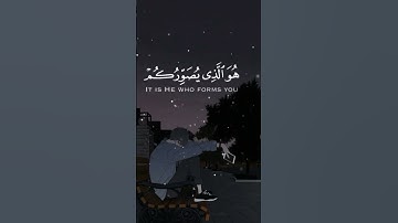 ان الله لا يخفي عليه شيء | القارئ عبدالرحمن مسعد | 😴🎧