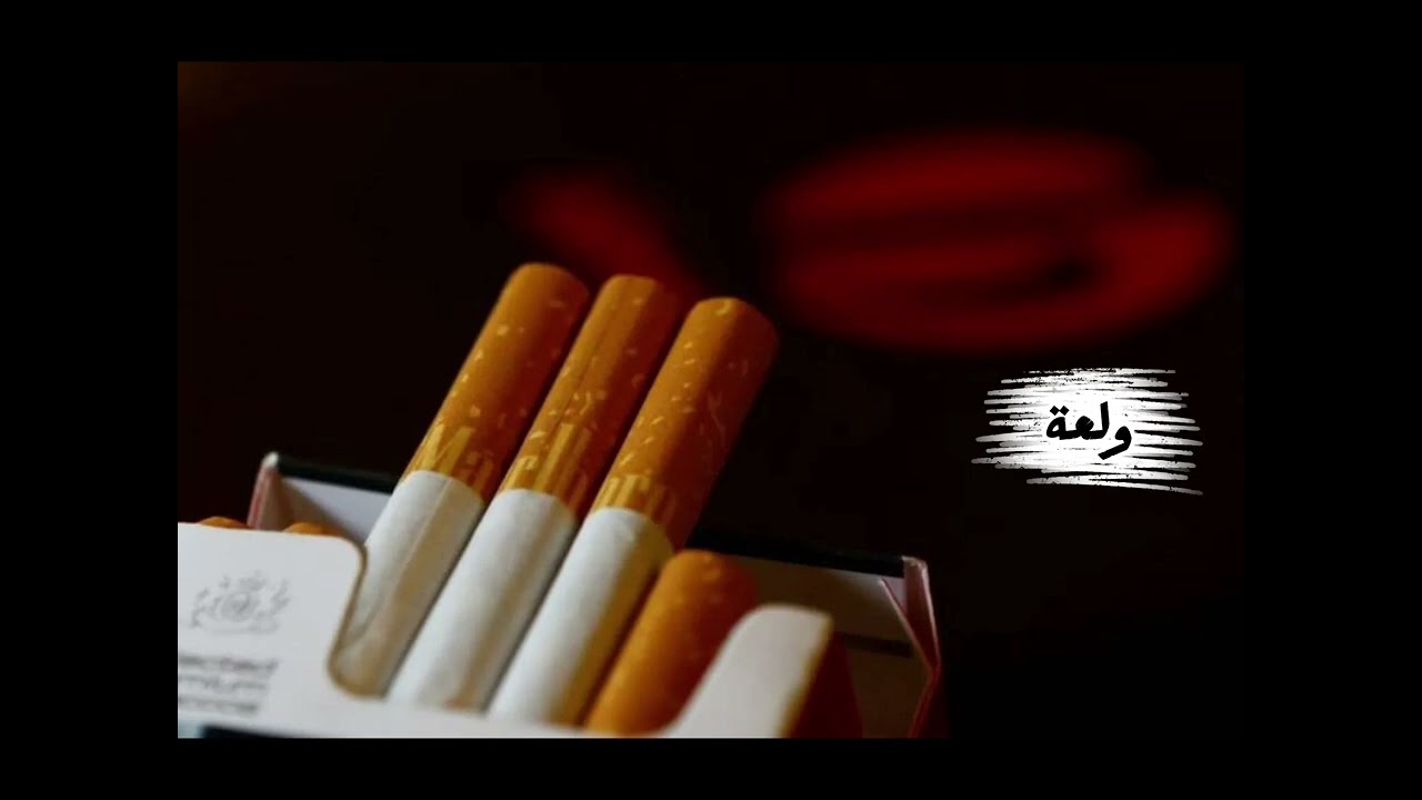 ٢٦ سبتمبر ٢٠٢٦