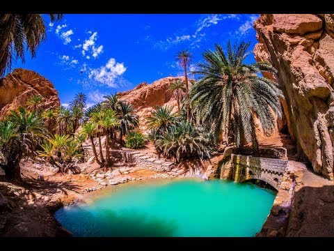 Oasis Nefta - рай в пустыне