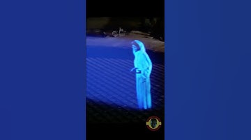 Star Wars Quotes - "Help me Obi-Wan Kenobi, your my Only Hope" - Leia Organa | Royal Chiss News |