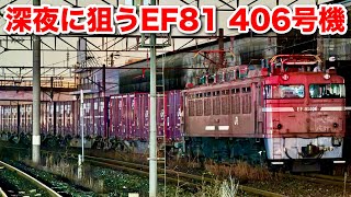 【JR貨物 深夜に狙うEF81 406号機 浜小倉 2024.2】