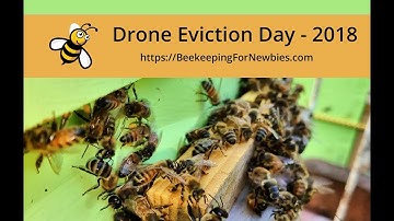 Drone Eviction Day