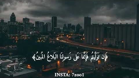 تلاوه هادئة للقارئ رعد الكردي🕊✨ من سورة التغابن