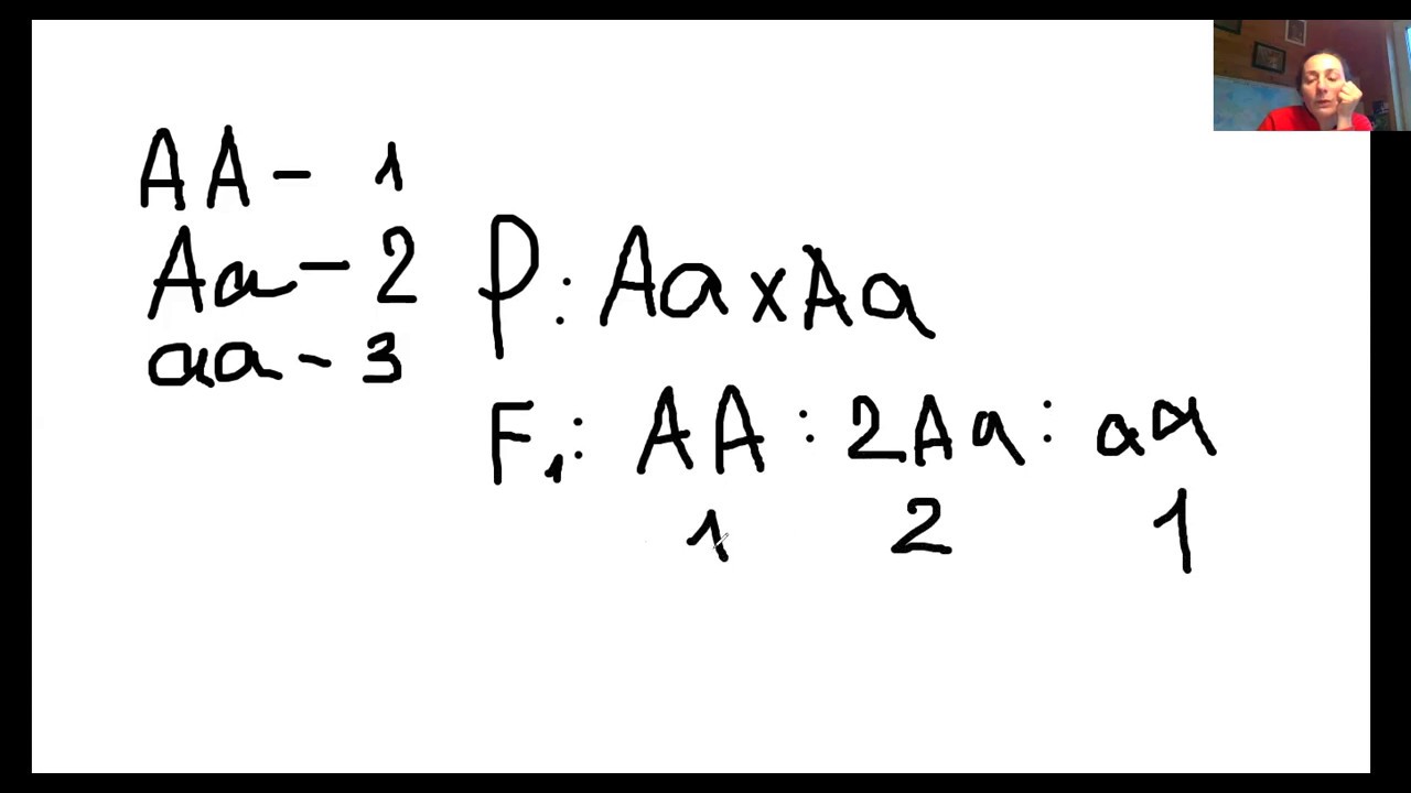 Ане С. генетика - YouTube