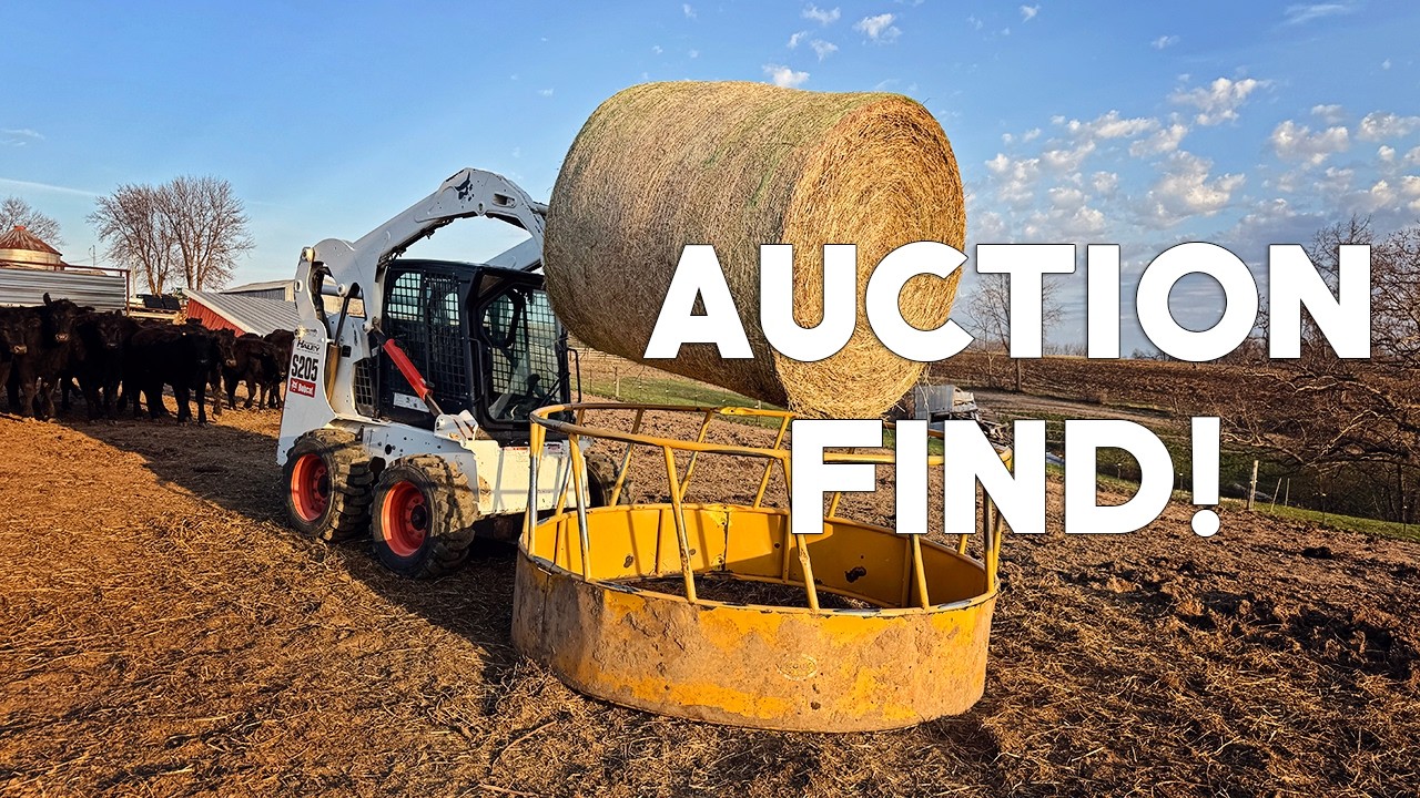 Low Hour Bobcat Find!