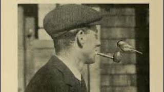 The Corniness Continues! Pipe Week 2025!