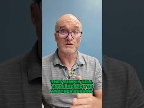 How Do Hackers Carry Out a Cyber Attack?