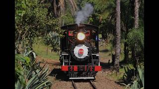 Trens com a locomotiva a vapor  215 na ABPF-Campinas, registrado em Maio/2026.
