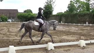 01.06.2025 - CCE Dangeul - Cycle Libre 2 - Dressage