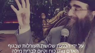 שלוש עורלות שצריך להכניעם