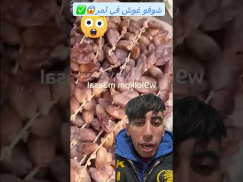 غوش في ثمر كيدهنوه بي عسال