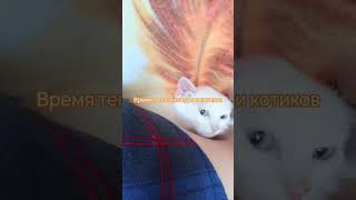 Уютное гнездышко