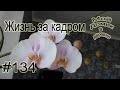 #134 Жизнь за кадром ! Почему так мало новых видео на канале ?