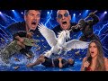 How was misunderstood, but he proved everyone wrong as he performed the best magic ever#agt #bgt 