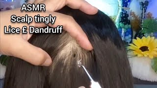 ASMR Slow and Calm Scalp Tingly, Lice and Dandruff Removal | No Talking ???