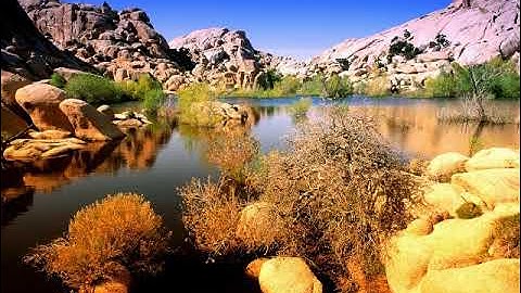 سورة يوسف بصوت القارئ عبدالرحمن بن علي الحوال