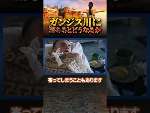 ガンジス川に落ちるとどうなるのか？ #雑学 #解説 #地球のサムネイル