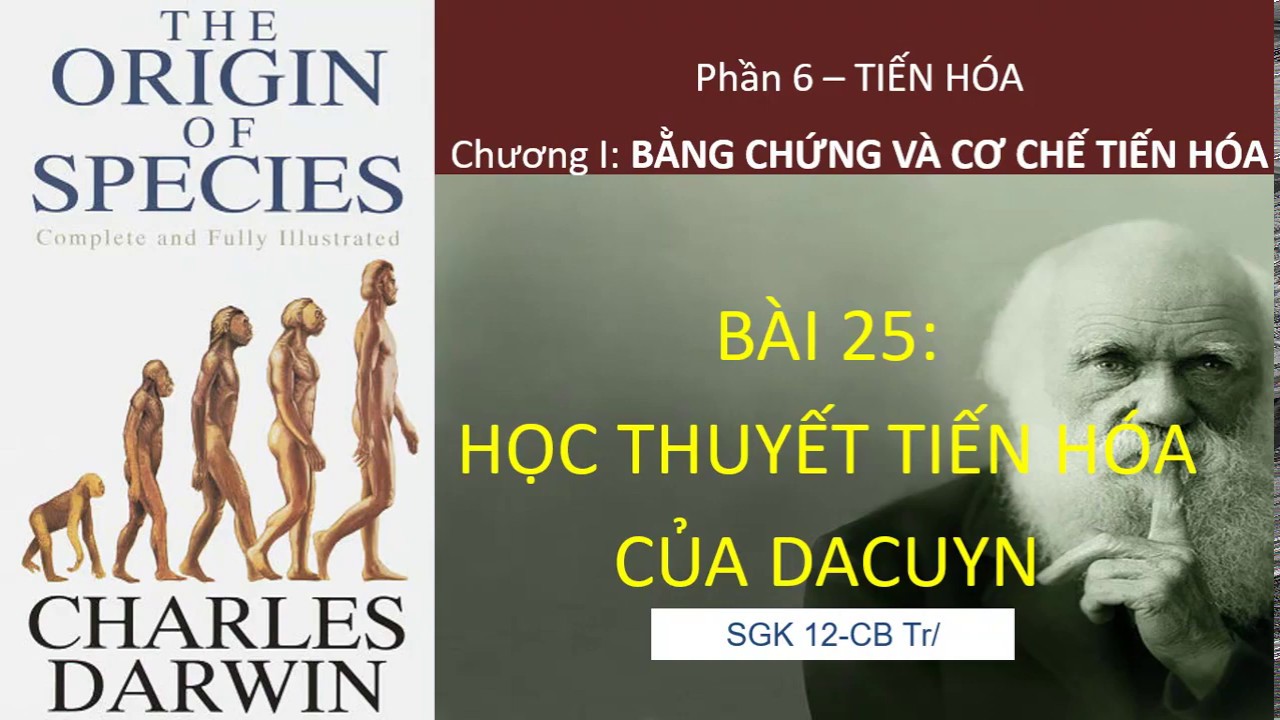 Học thuyết tiến hóa của đacuyn | Sinh học 12. Bài 25. Học thuyết tiến hóa của Dacuyn