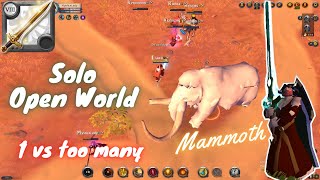 Solo Open World PvP  ⚡️ :[Albion Online]