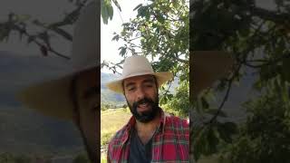 Cigarro Dominicano 7mo Aniversario, Cigar Club Mareva, Propietario Marko Bilić, Croacia