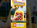 不只AI晶片！路透向全球推薦台灣 主角竟是這項「精品」