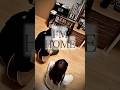 【Day69】I'M HOME / CIVILIAN  #civilian #cover #歌ってみた