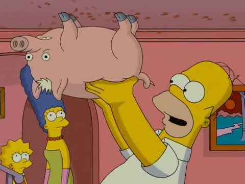 Spider-Pig - The Simpsons