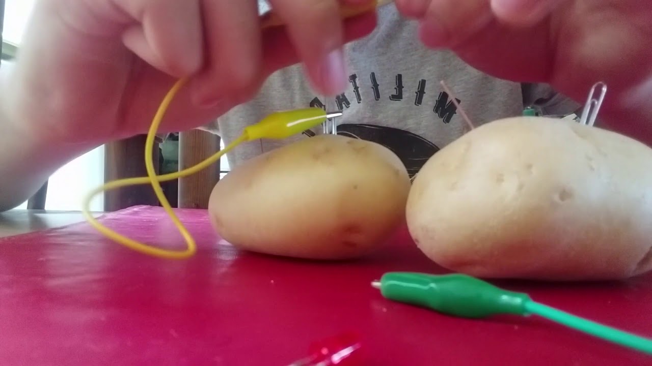 Práctica de la papa - Encender un foco LED con papas - YouTube