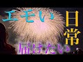 【初投稿】大学生のエモい日常