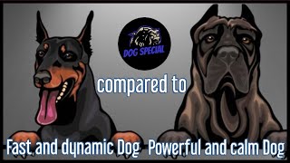 Der Schnelle, Drahtige Hund oder der Wuchtig, Ruhige Hund? by DOG SPECIAL 1,502 views 1 month ago 17 minutes