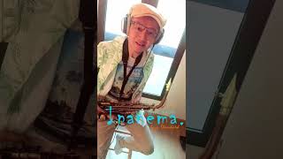 Alto saxophone, The Girl form Ipanema , Japanese jazz Standard