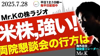 【まだ伸びる】伸び続ける米国AI株、日本は両院懇談会でどうなるか？