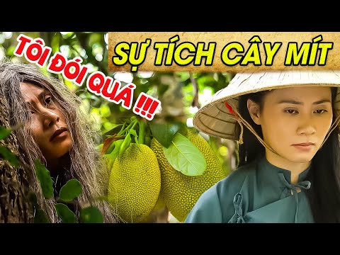 Video SỰ TÍCH CÂY MÍT | SỰ TÍCH VỀ LOÀI CÂY MỚI NHẤT 2022 |... - youtube