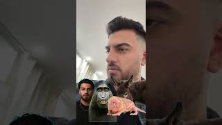 Ich Nenne Es Sesamring Nougatbits