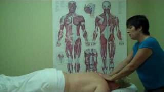 Basic Swedish Massage Strokes  ASHA School of Massage